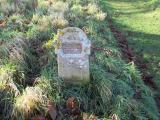 image of grave number 374060